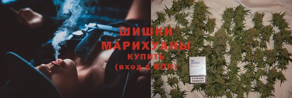 крисы Дмитров