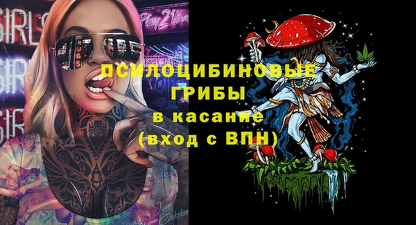 крисы Дмитров
