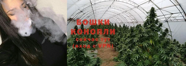 метадон Дмитриев