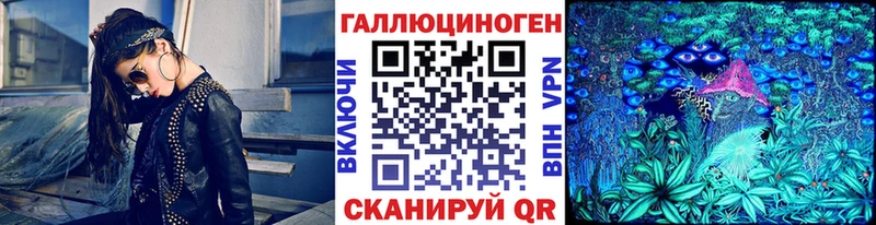 Псилоцибиновые грибы Cubensis  Купить где  Кириллов 